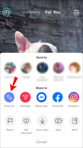 copiar link tiktok
