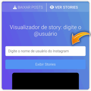 digite o nome de usuário do instagram