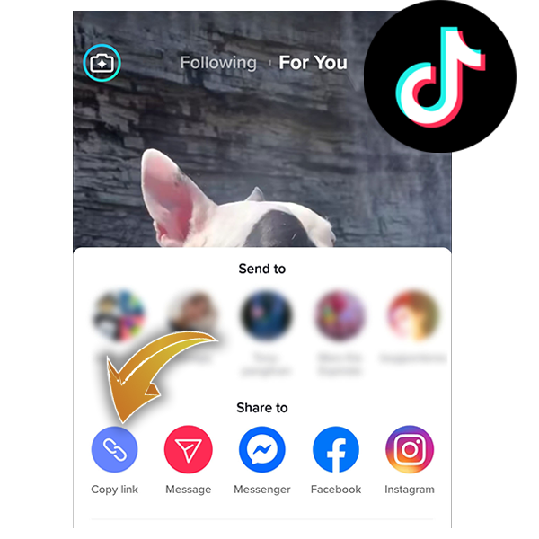 tiktok